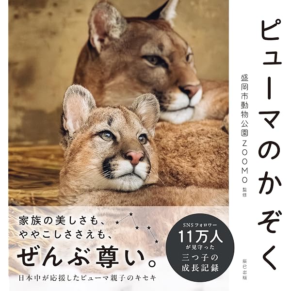 Amazon.co.jp: いのちかがやけ!タイガとココア: 障がいをもって生まれ